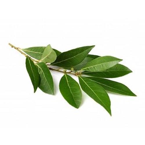 ALLORO   300 GR
