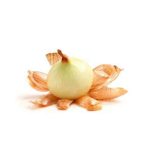 CIPOLLA GIALLA  PELATA INTERA