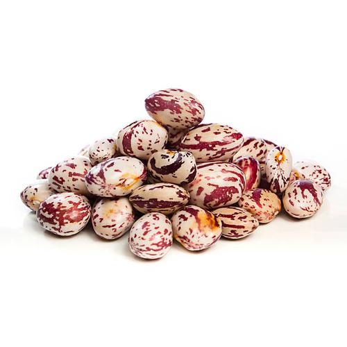 FAGIOLI BORLOTTI GR 500