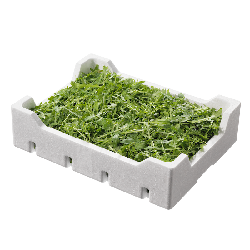 RUCOLA SFUSA  N. LAV. 