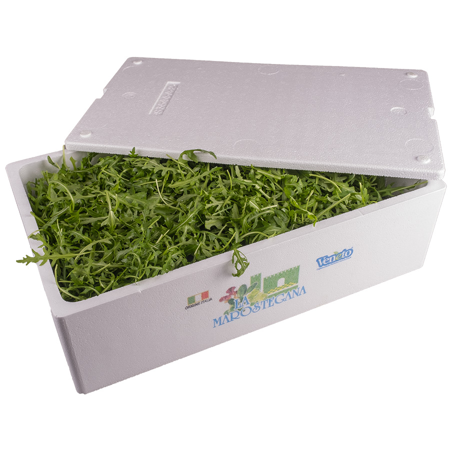 RUCOLA   GR 800