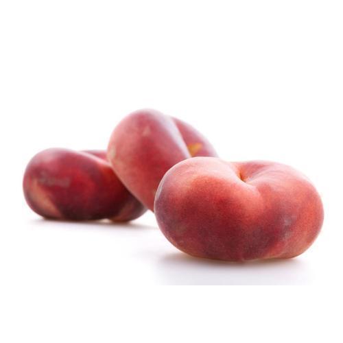 PESCHE SATURNINE 
